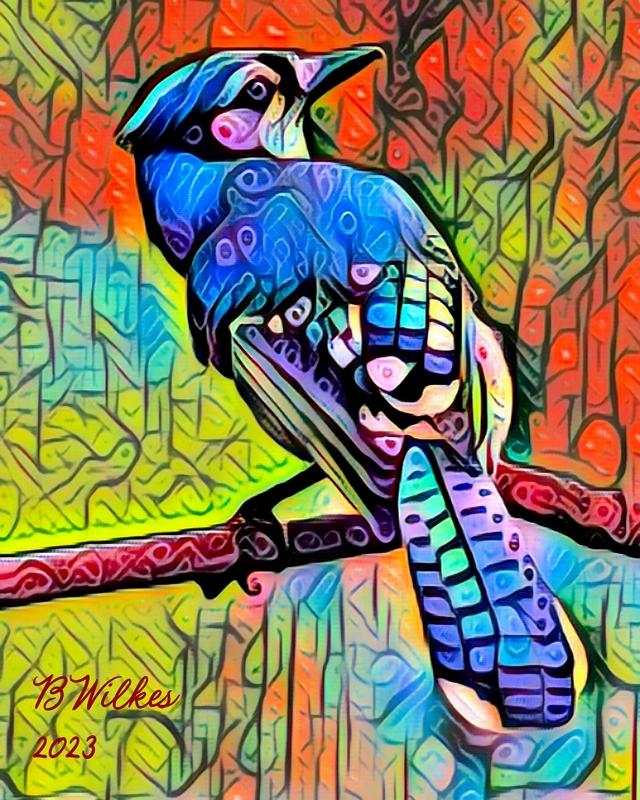 "Bluejay Vision"